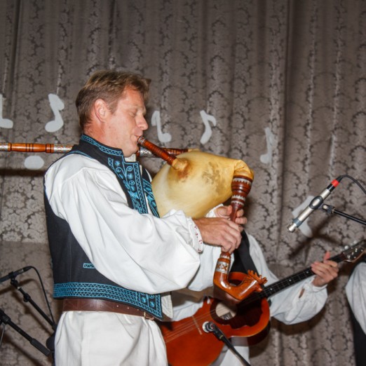 U Buševcu za vikend tradicijska glazbala