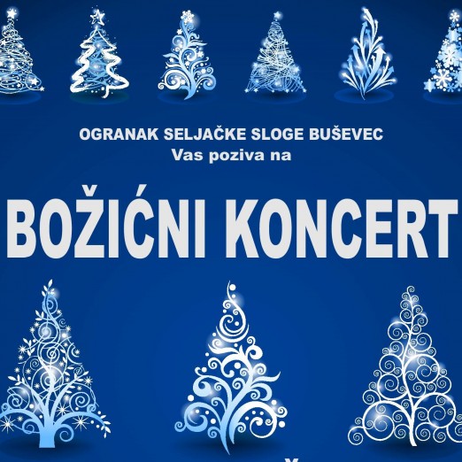 Božićni koncert u Buševcu