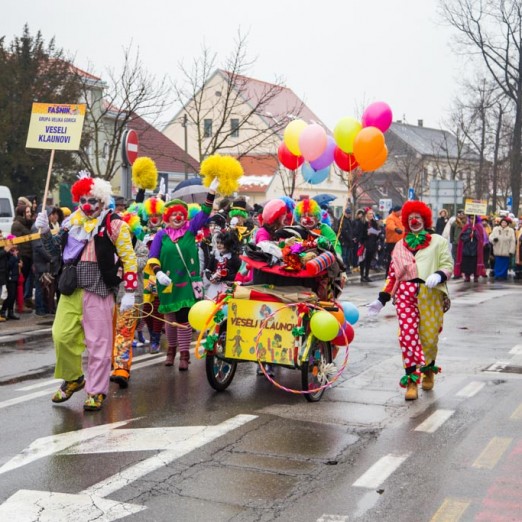 110. turopoljski fašnik