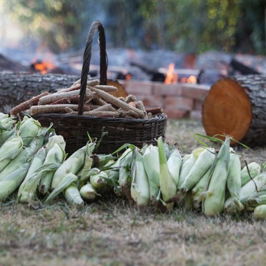Ljeto u Vukovini uz pečenike, radionicu, film...