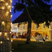 carousel-2