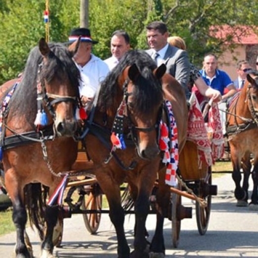 Program događanja za kolovoz
