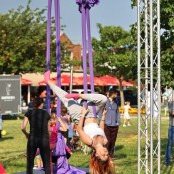 carousel-12