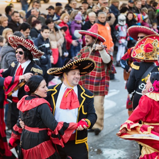 108. turopoljski fašnik